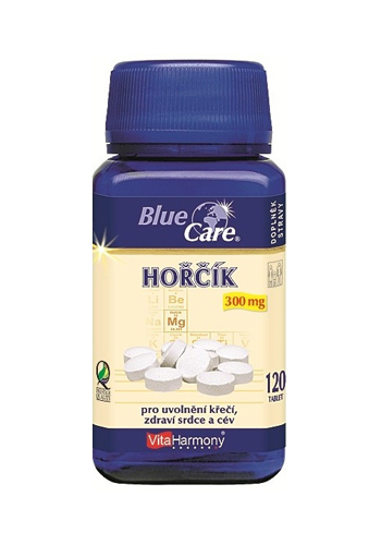 VitaHarmony Hořčík 300 mg 120 tablet