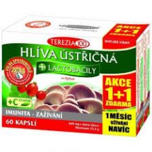 Terezia Company Hlíva ústřičná s lactobacily 120 tablet AKCE